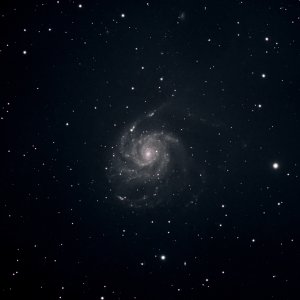 M101-SuperNova