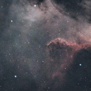 NGC 7000 Cygnus Wall.png